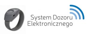 System Dozoru Elektronicznego